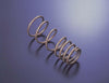 Tein NSKQ44-G1B00 12+ fits Toyota Prius V (ZVW41L) H. Tech Springs *Special O