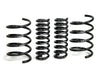 H&R 29392 01-06 fits Mercedes-Benz C240/C320/C55 AMG W203 Sport Spring