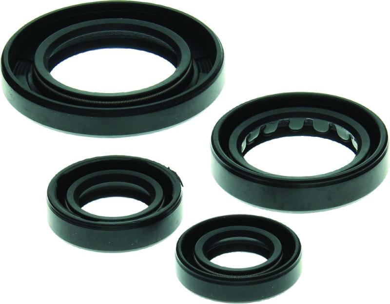 QuadBoss 564348 Qb Oil Seal Set