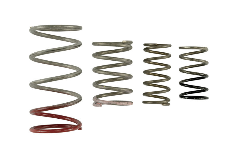 Turbosmart TS-0600-2011 Gen V IWG Spring Replacement Kit