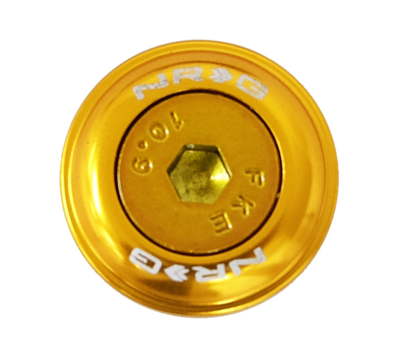 NRG FW-150RG FW-150RG Fender Washer Kit w/Color Matched M6 Bolt Rivets For