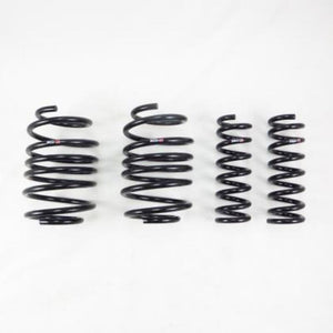 RS-R T232D 2023+ fits Lexus RX350 AWD Down Sus Springs