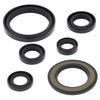 QuadBoss 564302 fits Yamaha YFM700R Raptor Oil Seal Set