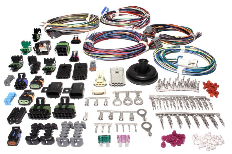 FAST 301105 Wiring Harness FAST XFI