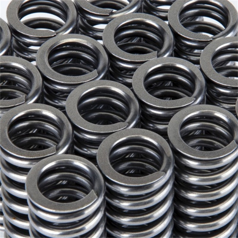 Skunk2 Racing 311-05-1345 Skunk2 Alpha Series fits Honda D Series VTEC Valve Spring Set