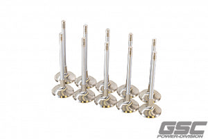 GSC 2256-10 fits Audi DAZA 33.9mm Head STD 104mm Long Chrome Polished Int Val