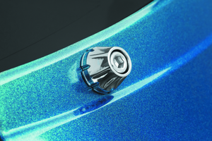 Kuryakyn 5717 Kuryakyn Windshield Screws FFLH Chrome