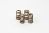 Hot Cams VSK2006 Valve Spring Kit, Boxed, ea, 1