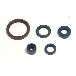 Athena P400220400255 03-04 Husqvarna TE/TC 250-450 Engine Oil Seal Kit