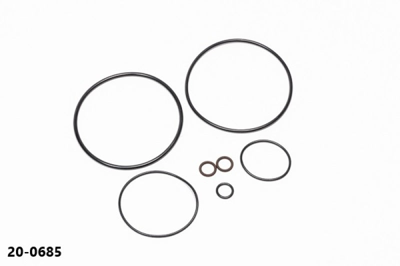 Radium Engineering 20-0685 AOS-R O-Ring Service Kit