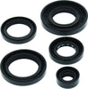 QuadBoss 564593 Qb Oil Seal Set