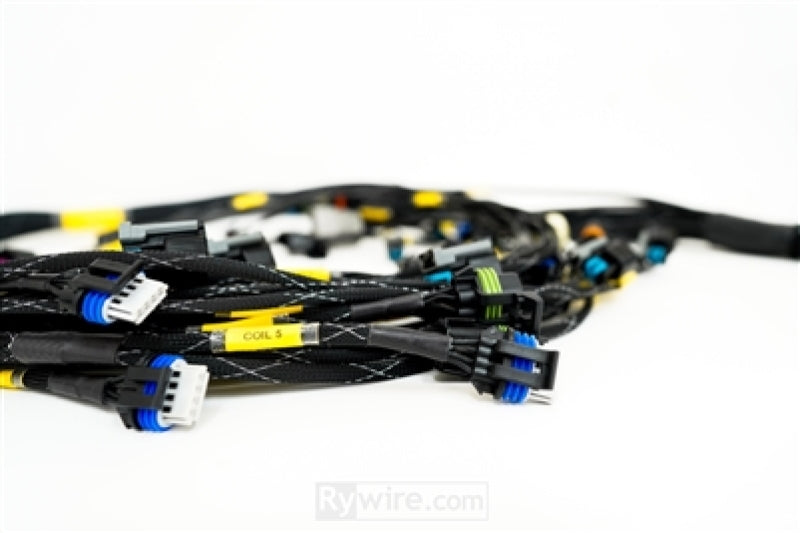 Rywire RY-LS3-E38 fits GM LS3 V8 E38 ECU Engine Harness w/Bosch MAP Option (Req PDM/Fuse Box/Mating Connector)