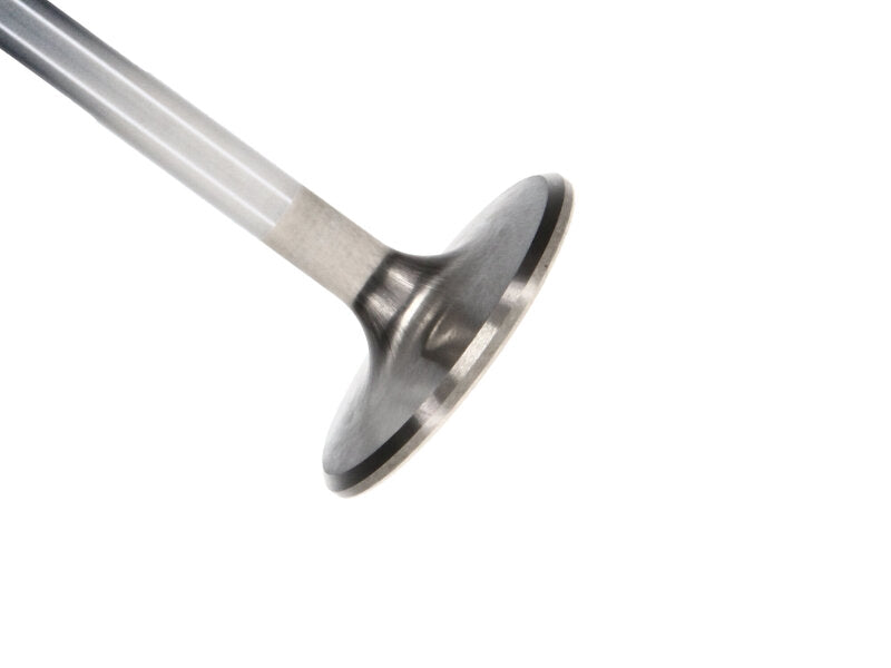 Manley Performance 11803-8 Manley fits Chevrolet Big Block Exhaust Valve Kit
