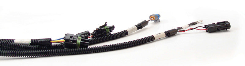 FAST 301100 Wiring Harness FAST Main