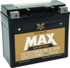 Twin Power GYZ-20HL fits  Premium MAX Battery Replaces H-D 65989-97A Made in USA