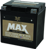 Twin Power GYZ-32HL fits  Premium MAX Battery Replaces H-D 66010-97A Made in USA