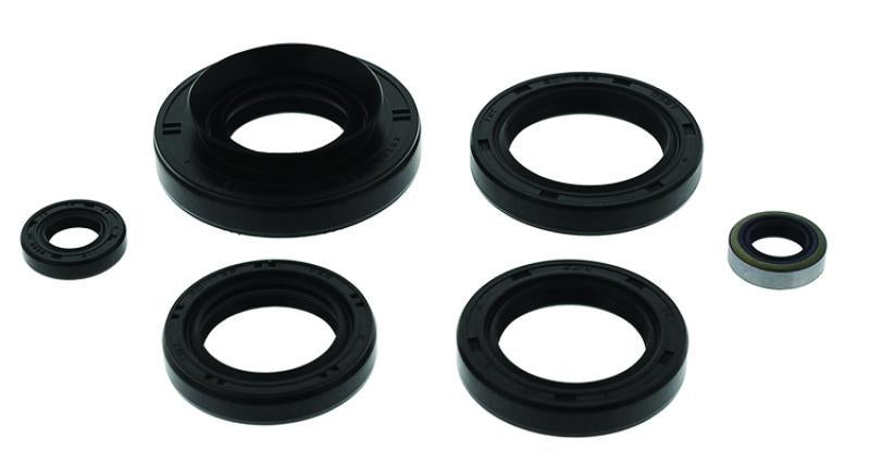 QuadBoss 564199 Oil Seal Set