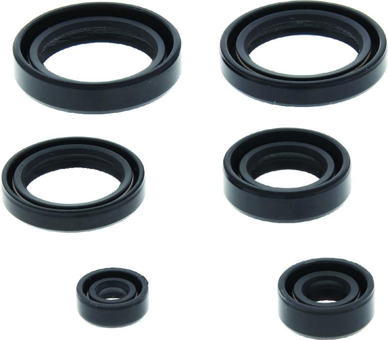 QuadBoss 564398 Qb Oil Seal Set