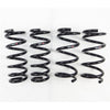 RS-R N134D 10+ fits Nissan 370Z (Z34) Down Sus Springs