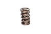 COMP Cams 950-1 Valve Spring 2 Spring Assembly