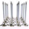 Skunk2 Racing 310-05-1400 Alpha fits Honda/Acura Stock Size H Series Valve Set
