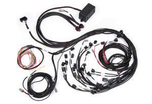 Haltech HT-141388 Elite 2500 Terminated Harness w/EV1 Injector Connectors