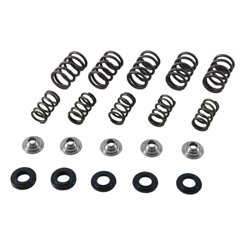 Hot Cams SKYFM660S2 01-05 YFM 660 R Raptor Valve Spring Kit