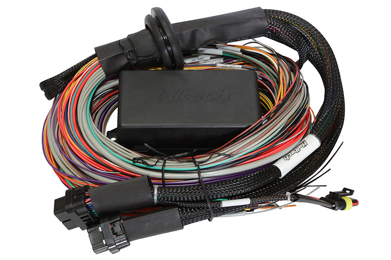 Haltech HT-140904 Elite 1500 8ft Premium Universal Wire-In Harness