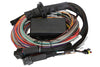 Haltech HT-140904 Elite 1500 8ft Premium Universal Wire-In Harness