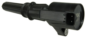 NGK 48688 20 fits Mercury 05-02 Mountaineer COP Ignition Coil