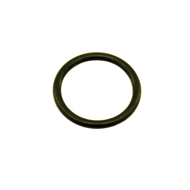 Nitrous Express 11027-1 5/8 O-Ring for Motorcycle Bottle Valve (Fits 2lb Bottles and Smaller)