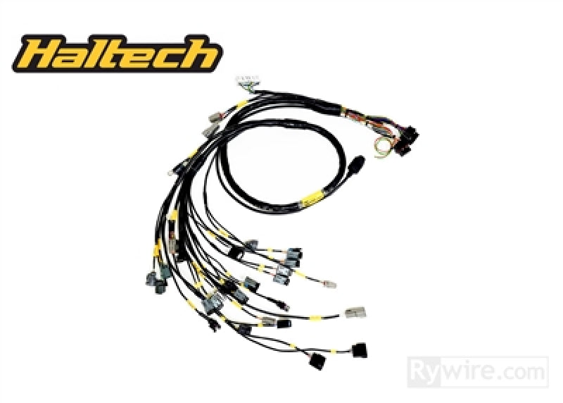 Rywire RY-B-HALTECH-ELITE fits Honda B-Series (w/Haltech Elite 1500+) Eng Harn w/OBD1 Alt/EV1 Inj/AEM IAT & MAP (Adapt. Req)