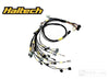 Rywire RY-B-HALTECH-ELITE fits Honda B-Series (w/Haltech Elite 1500+) Eng Harn w/OBD1 Alt/EV1 Inj/AEM IAT & MAP (Adapt. Req)
