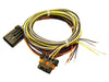 FAST 301403 Harness FAST VSS and Auxiliary Shaft Wiring Harness