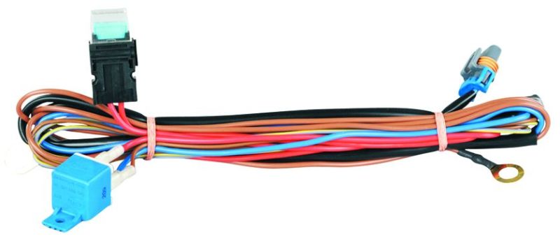 Hella 149147001 Wiring Harness Kit 3.1M PKRD2 12V with Fuse & Relay