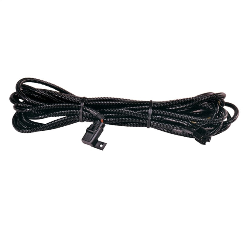 Hella H84994031 High Performance Halogen Wiring Harness
