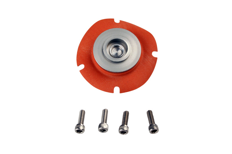 Aeromotive  13006 Regulator Repair Kit (for 13202/13113/13209/13214/13212)