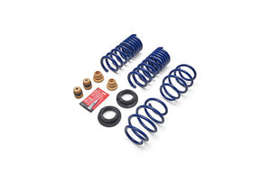 Ford Racing fits 2024 Mustang 2.3L Track Lowering Spring Kit