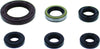 QuadBoss 564787 Qb Oil Seal Set