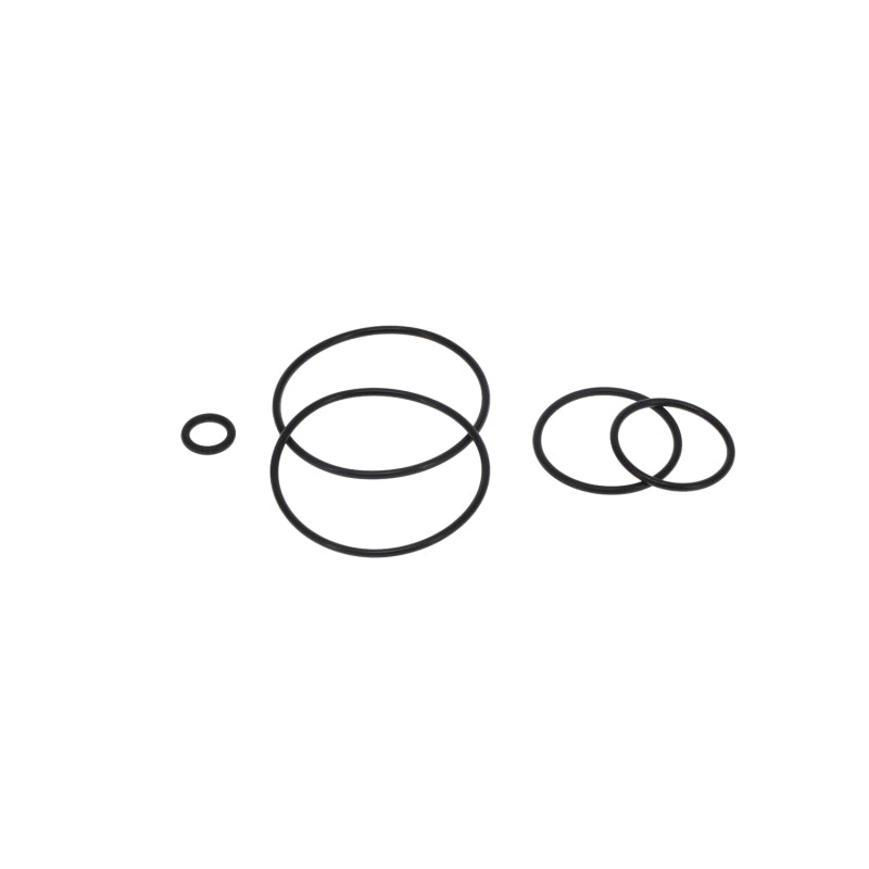 Peterson Fluid Systems 09-0689 O-Ring Rebuild Kit For 600 Series Filter