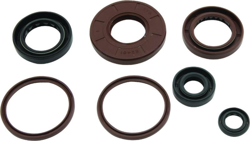 QuadBoss 564643 Qb Oil Seal Set