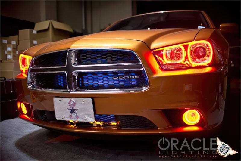 Oracle 11-12 Dodge Charger LED Fog Light Halo Kit - Amber