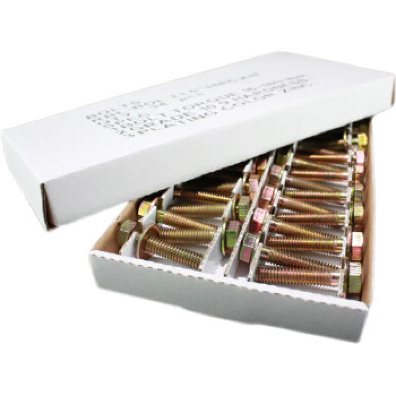 Raceline RBL-BOLT1" 20PCS. KIT Beadlock Bolt Kit - 5/16-18 X 1.00in - Grade 8 -