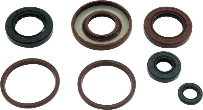 QuadBoss 564643 Qb Oil Seal Set