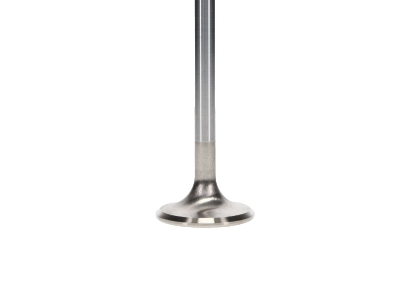 Manley  11827-8 SBC 1.600 Severe Duty Intake Valves (Set of 8)