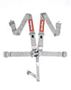 Racequip 711061 Platinum L & L 5pt Seat Belt