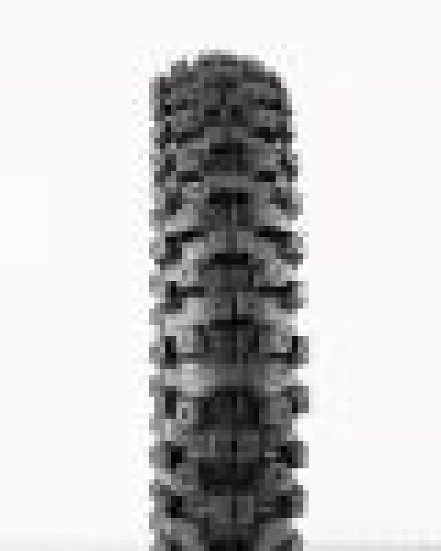 ProTaper 23325 MXT 04 Rear Tire 80/100-12
