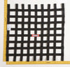 Racequip 726009 Black 24 X 24 SFI Ribbon Net