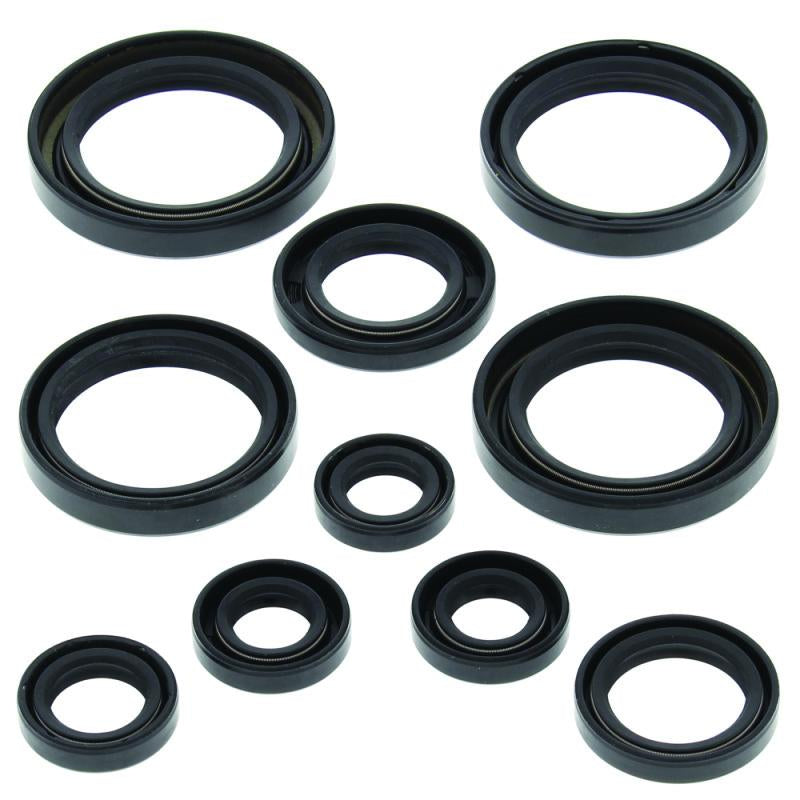 QuadBoss 564139 Qb Oil Seal Set