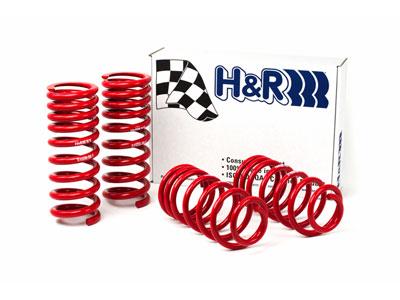 H&R 51650-88 94-95 fits Ford Mustang/Mustang Cobra V8 Race Spring